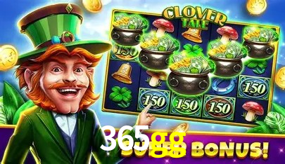 cassino 365gg